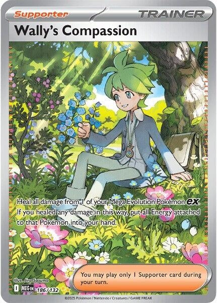 Image for Wally's Compassion (186/132) - Pokemon